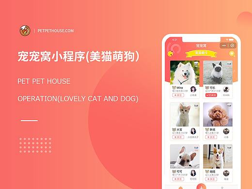 宠宠窝小程序 ｜全新的猫狗宠物交友互动平台
