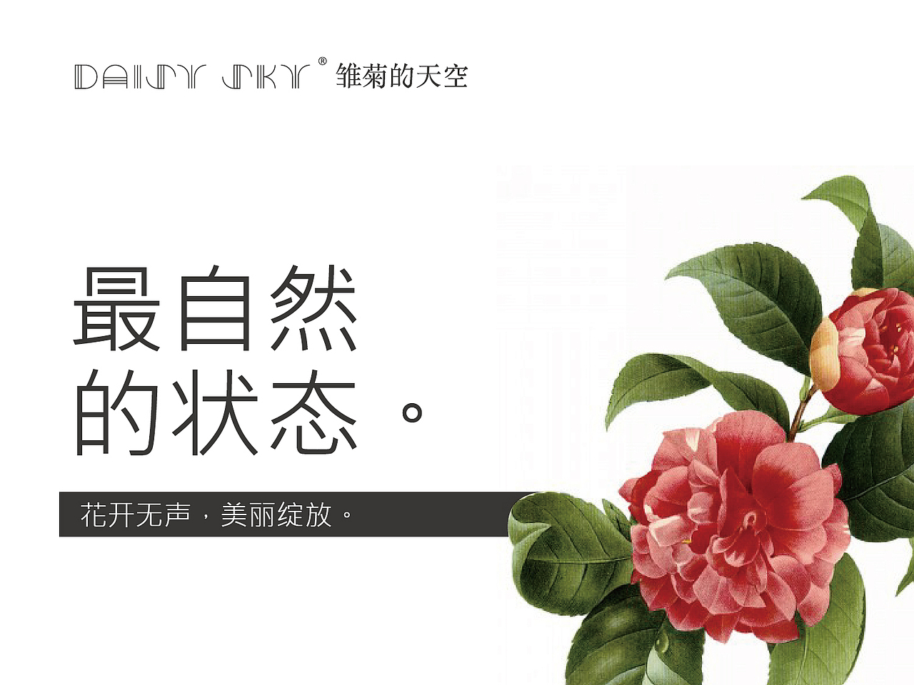 雏菊的天空 / 品牌视觉（图ZMTg2MTgxMzY=） - 品牌 - 站酷设计师阁楼妖怪原创素材 - 站酷ZCOOL