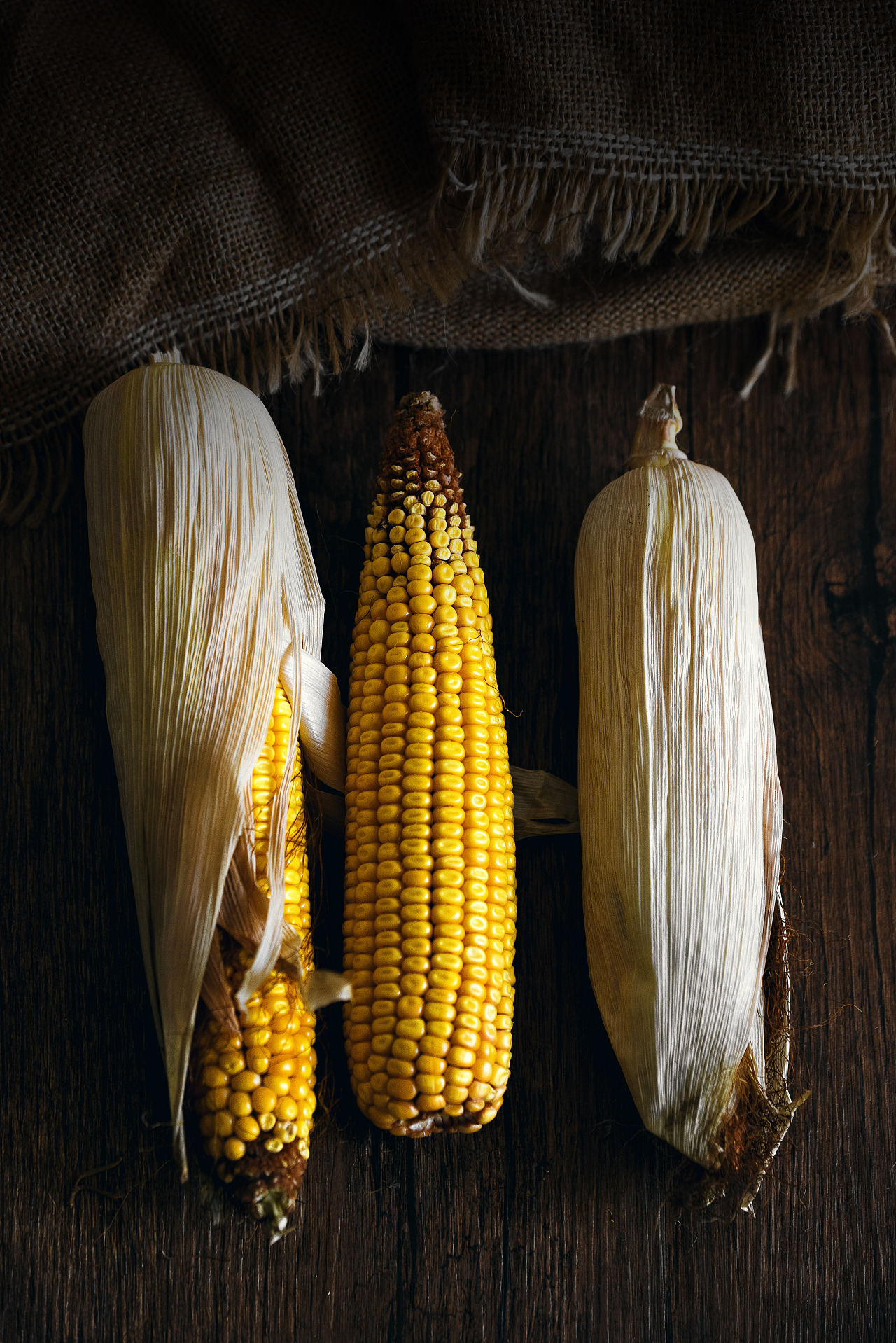很玉米 啃玉米 静物 摄影 - 原创作品 - 站酷(zcool)