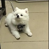 用戶頭像