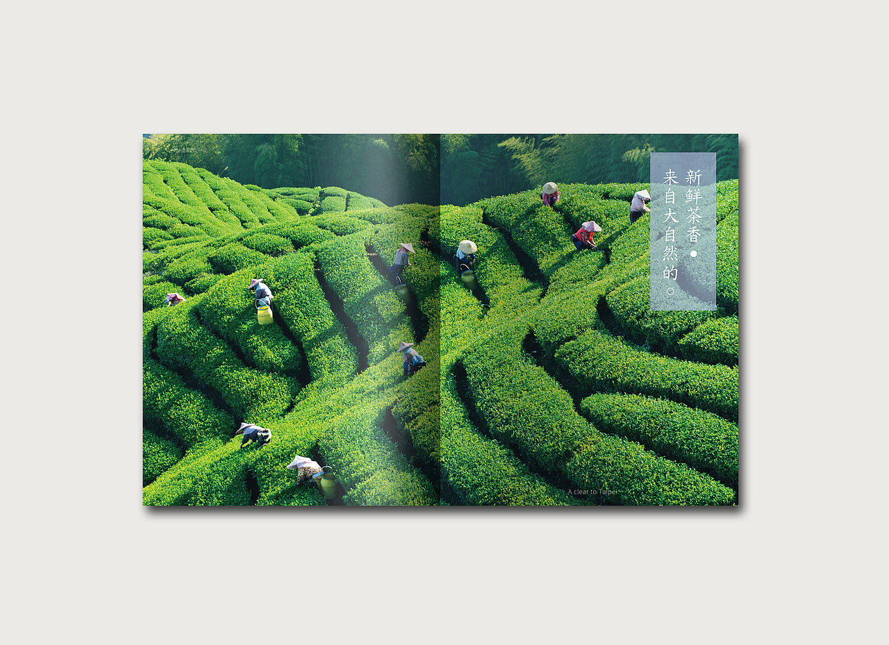 如邻&港谷-品牌画册（图ZMTU5MzgyNzYw） - 品牌 - 站酷设计师尹越欣原创素材 - 站酷ZCOOL
