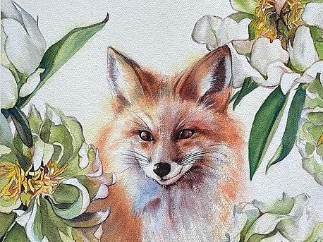 日常习作—萌宠