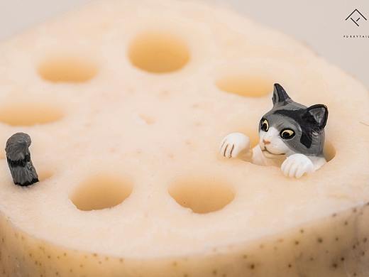 「猫的国」（个人主页-ZMjY3NTkzMjg=） - 风光摄影 - 站酷设计师FT尾巴生活原创素材 - 站酷ZCOOL