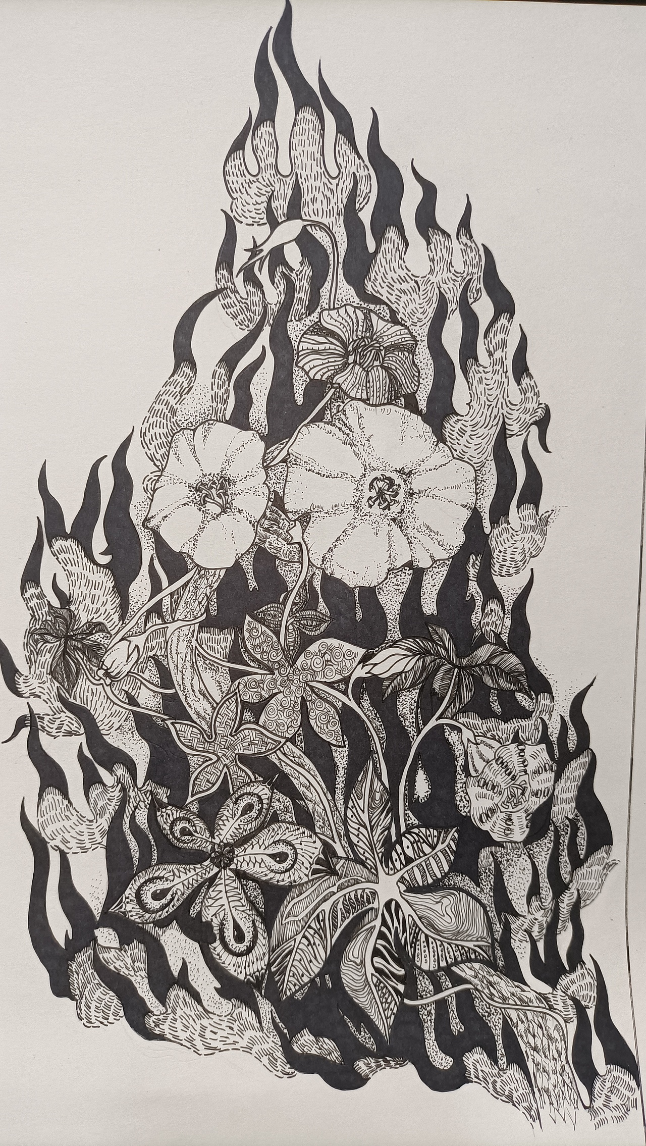 近期的一系列黑白装饰画|插画|创作习作|呆腻_临摹作品-站酷zcool