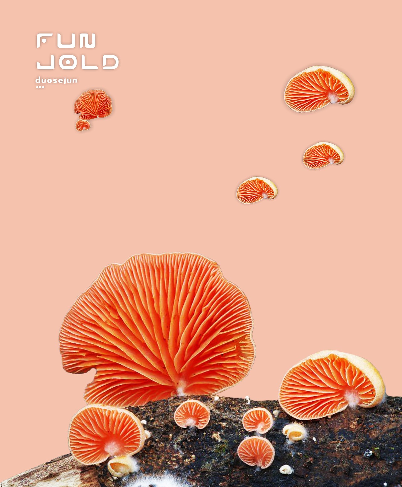 多色菌（图ZNTk5MjcyMTY=） - 其他平面 - 站酷设计师停道酬勤原创素材 - 站酷ZCOOL