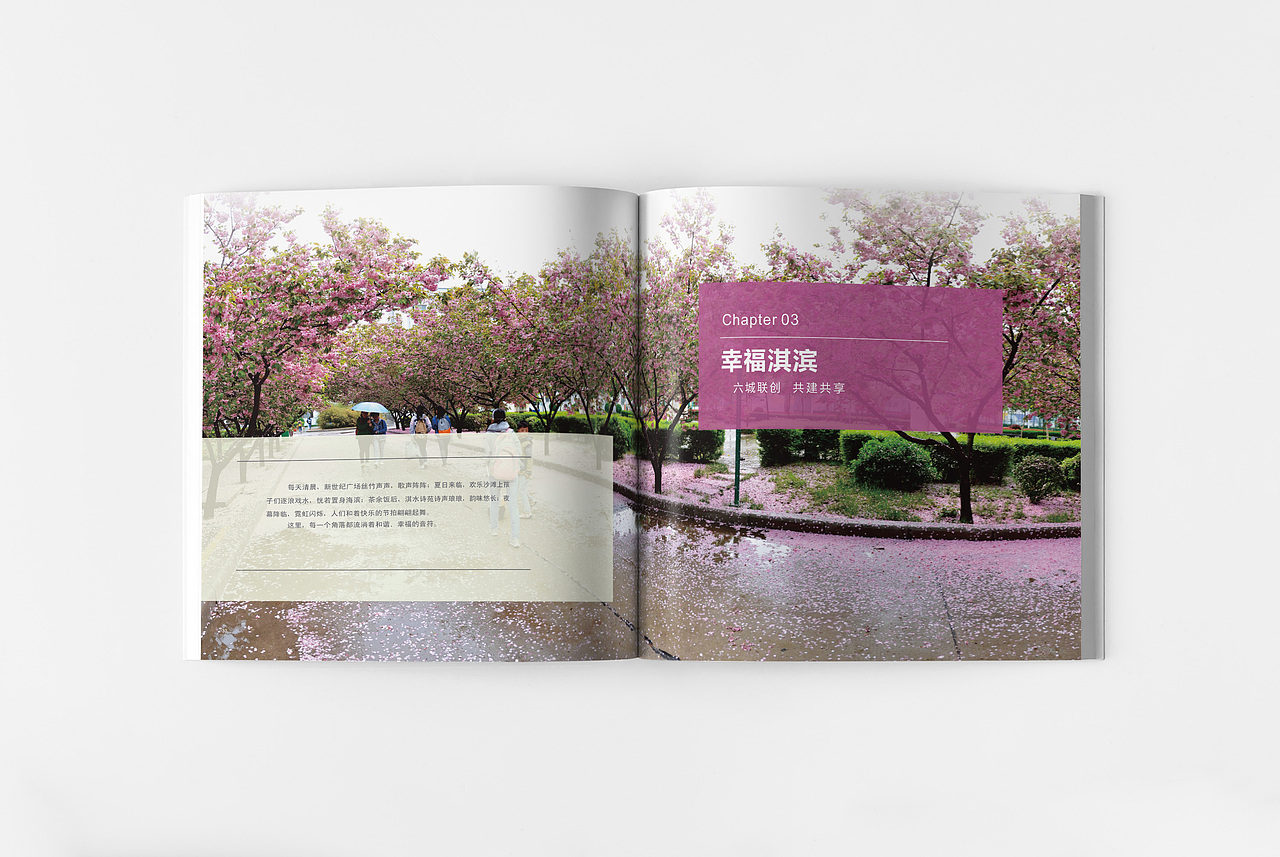 魅力淇滨城市画册