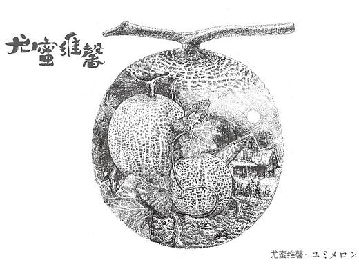 网纹瓜包装设计/玫珑瓜包装设计-design by weachen(个人主页-ZNTM1MDg3NDg=) - 包装 - 站酷设计师平面设计师微尘原创素材 - 站酷ZCOOL