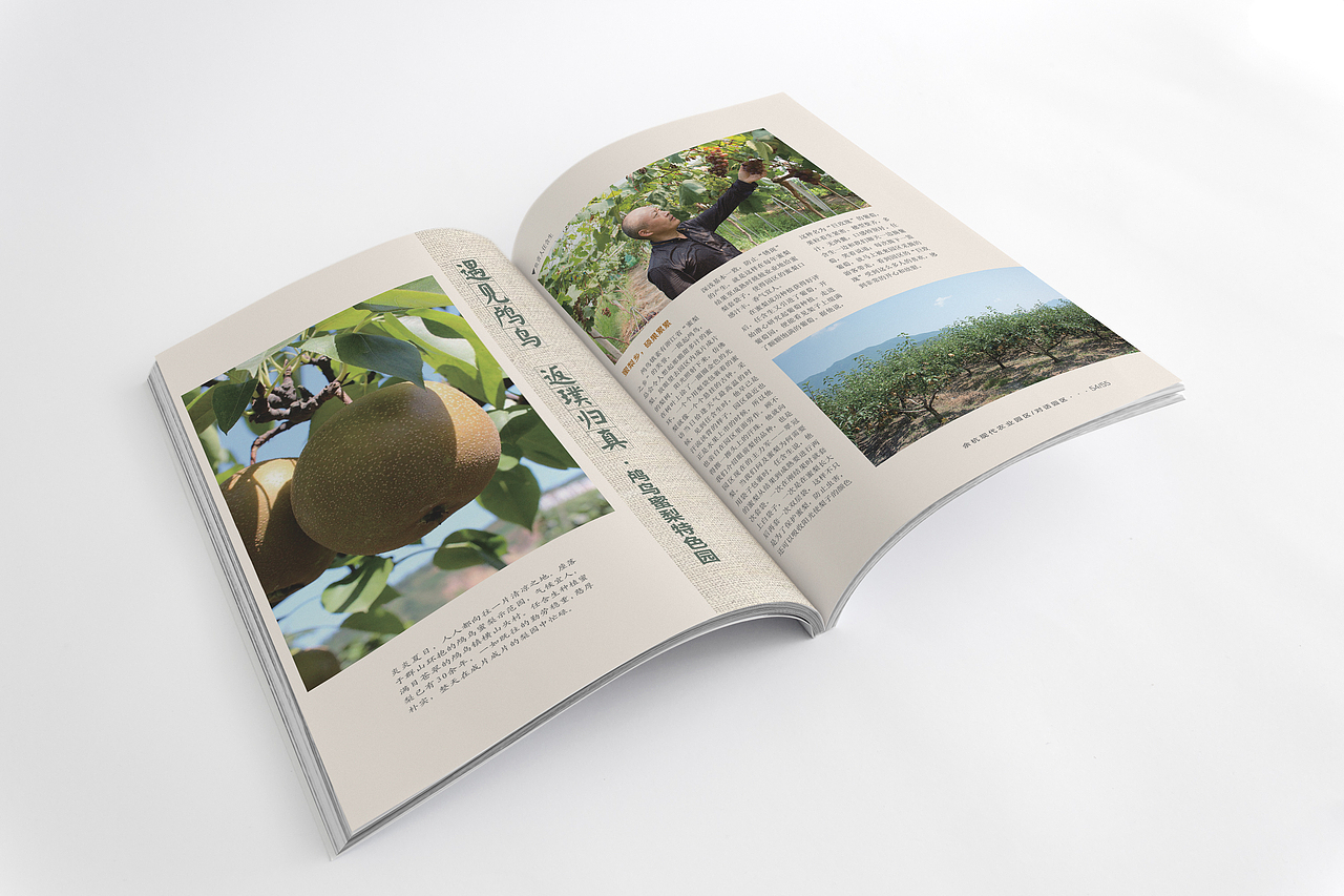 《余杭现代农业园区》第五期（图ZNjkwMDIwOTY=） - 书籍/画册 - 站酷设计师something123原创素材 - 站酷ZCOOL