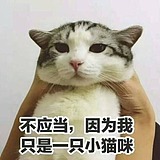 猫巧的头像