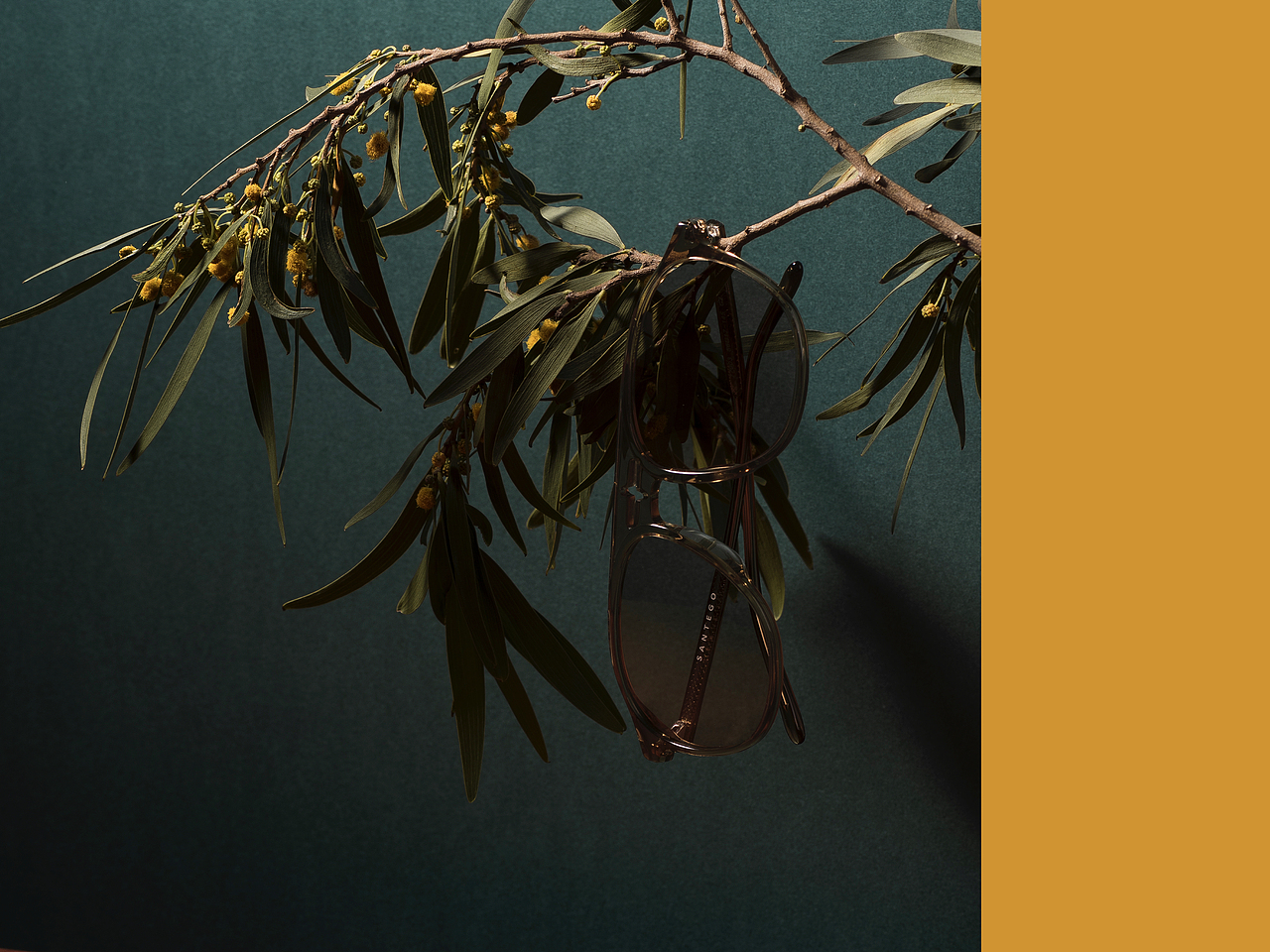 我从你的眼镜看出的色彩世界/黑金眼镜/平面产品摄影