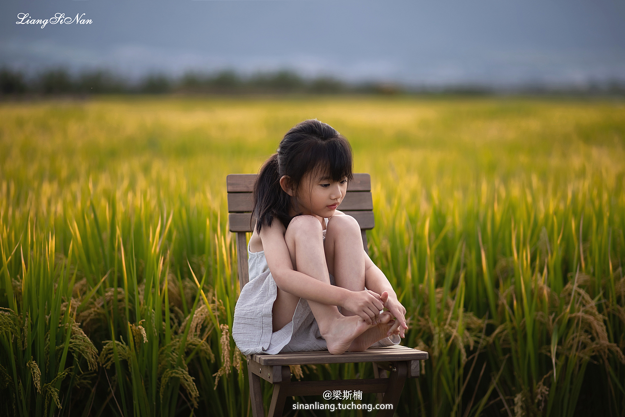 风,已经是秋天的味道了呢!