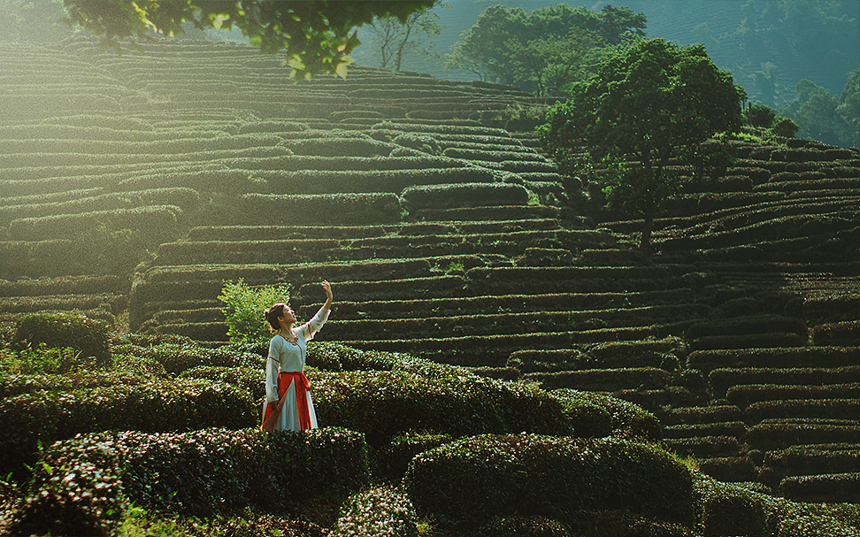 龙井（图ZMTYzNzg5NDI0） - 人像摄影 - 站酷设计师肆粗原创素材 - 站酷ZCOOL