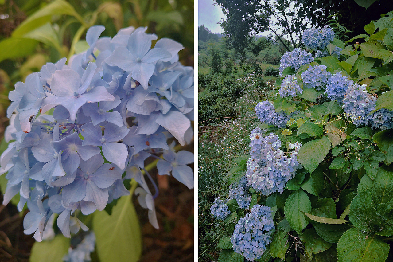 小梦的随手拍-第2期