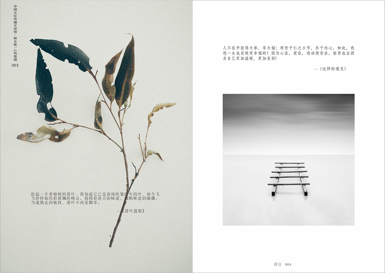 心若菩提书籍装帧设计（图ZODU0NTQzNjg=） - 书籍/画册 - 站酷设计师乖小猫咪朵朵莱原创素材 - 站酷ZCOOL