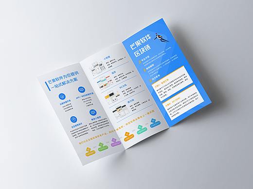 芒果软件公司宣传三折页