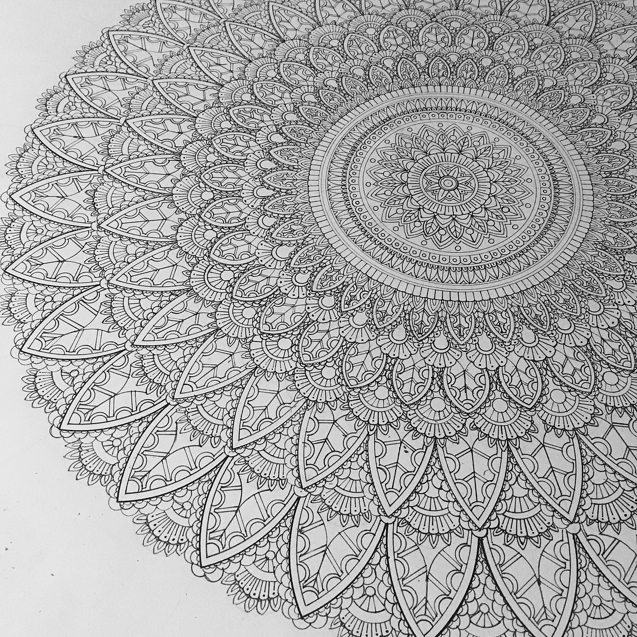 曼陀罗（图ZOTc1MTM4MTY=） - 新锐潮流插画 - 站酷设计师谁是林莲稚原创素材 - 站酷ZCOOL