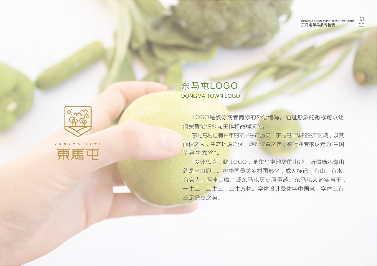 毕业手册（图ZMTY4OTc4OTYw） - 书籍/画册 - 站酷设计师zln张丽娜原创素材 - 站酷ZCOOL