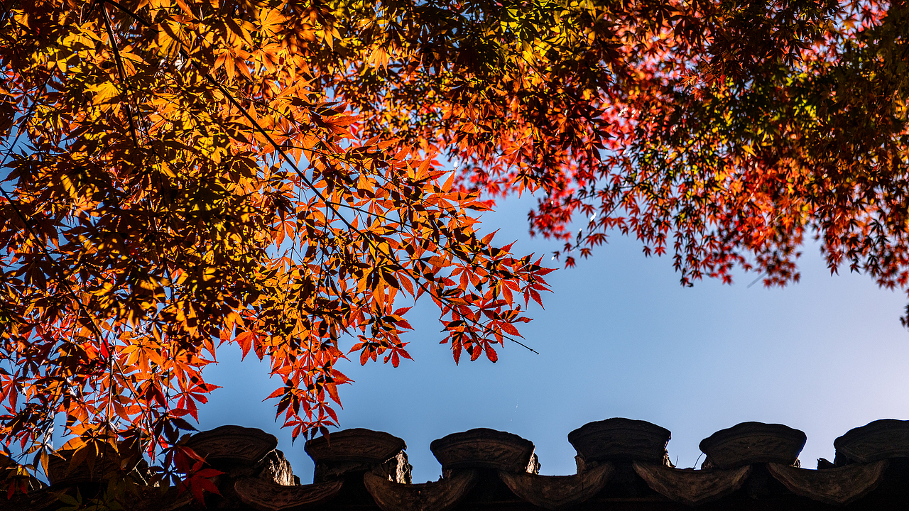 秋天的色彩（圖ZMzgxODcyOTQ0） - 風光攝影 - 站酷設計師游在外面的魚原創(chuàng)素材 - 站酷ZCOOL