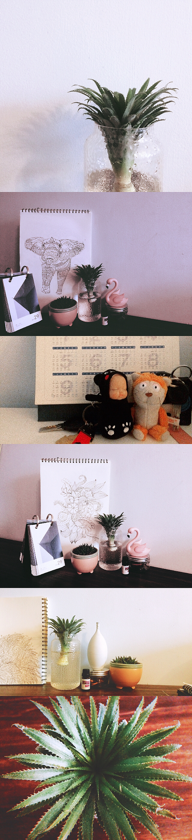 手机随便拍拍（图ZMTUyMDU5Mzgw） - 人文/纪实摄影 - 站酷设计师秋霈妤原创素材 - 站酷ZCOOL