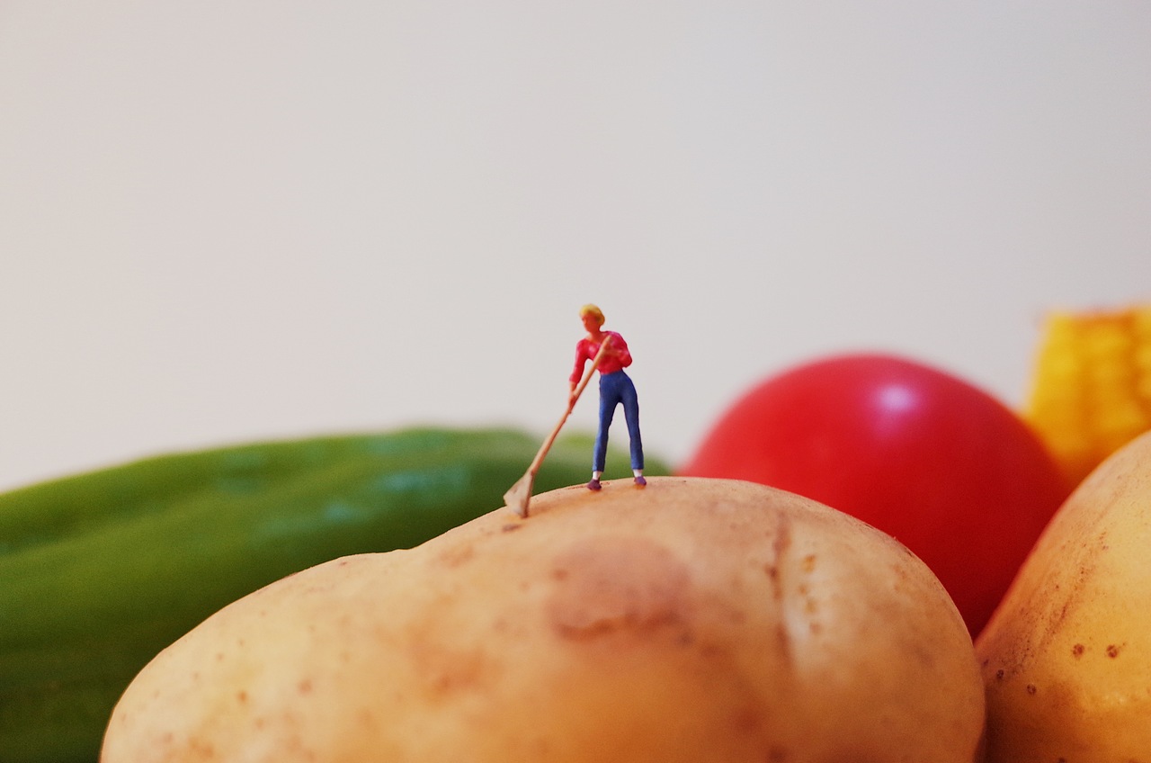 周末玩具——微距小人|摄影|其他摄影|程思寻_原创作品-站酷zcool