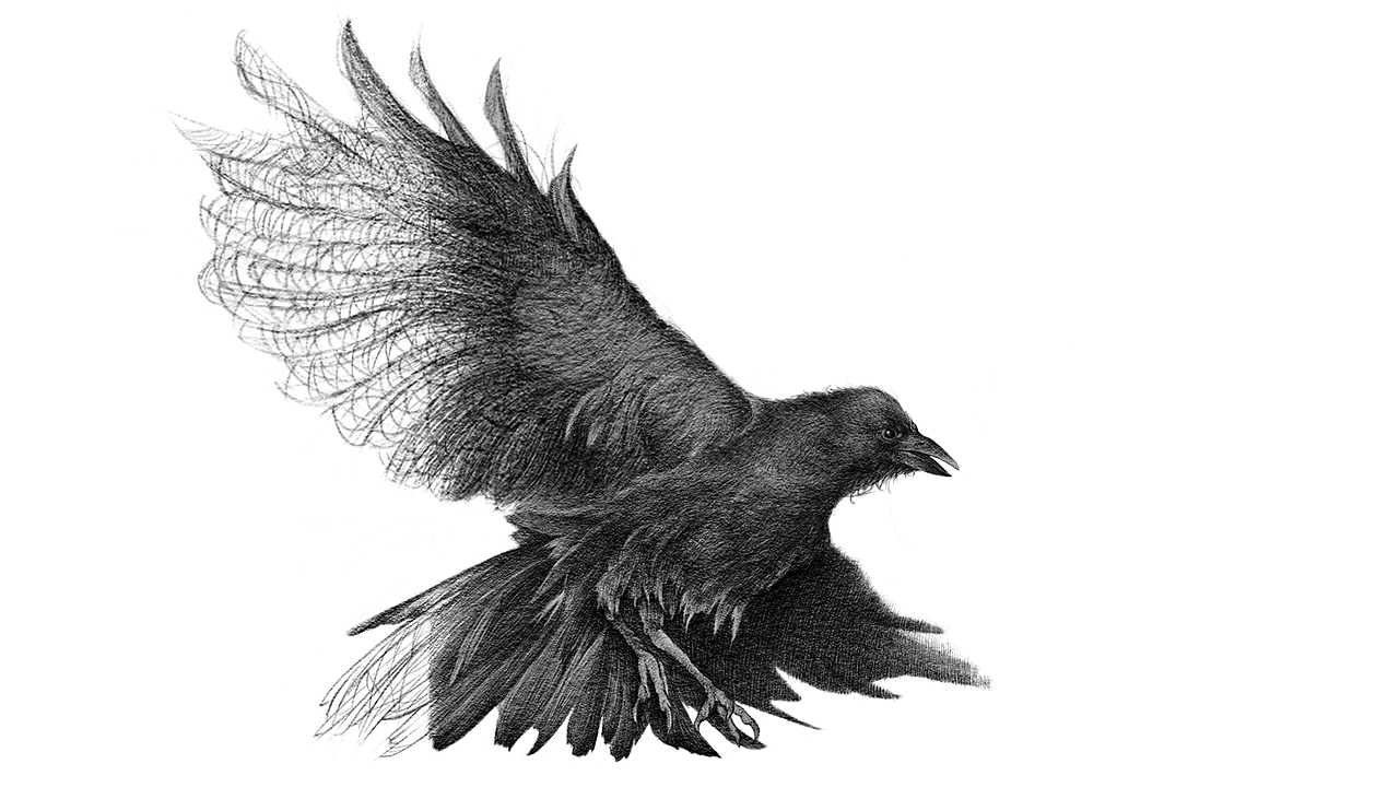 20190520进度记录