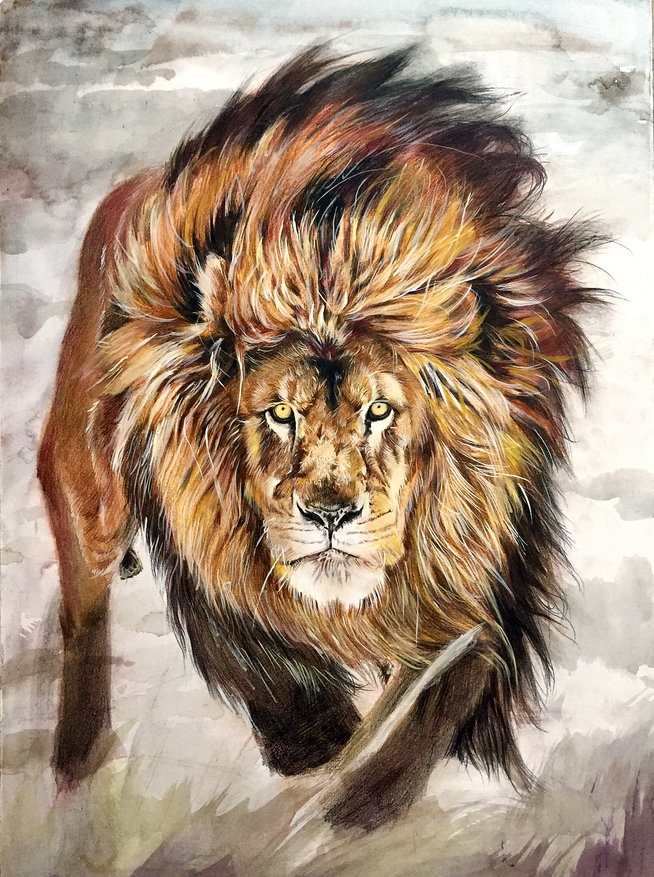 子小伟彩铅画《王者雄风》