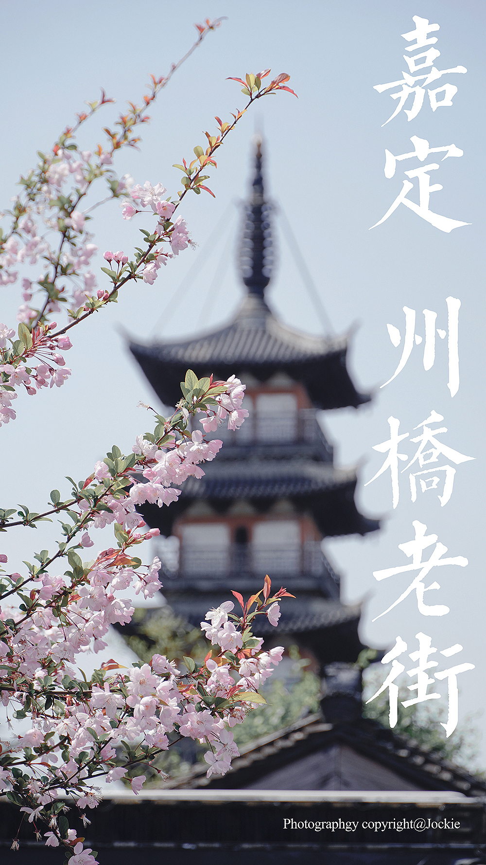 江南古镇，嘉定州桥（图ZMjExOTUyMzc2） - 风光摄影 - 站酷设计师Jockie_原创素材 - 站酷ZCOOL