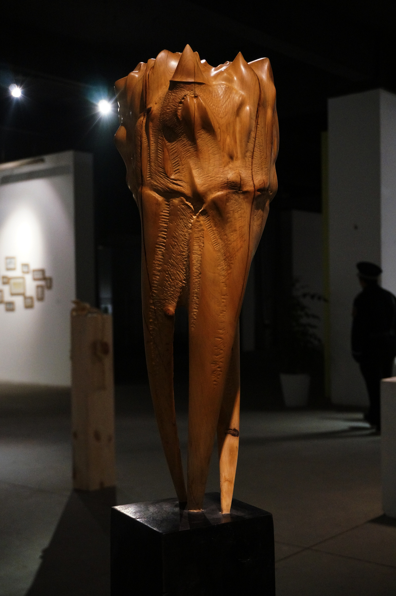 第55届威尼斯双年展平行展――《中国独立艺术展:未曾呈现的声音》策