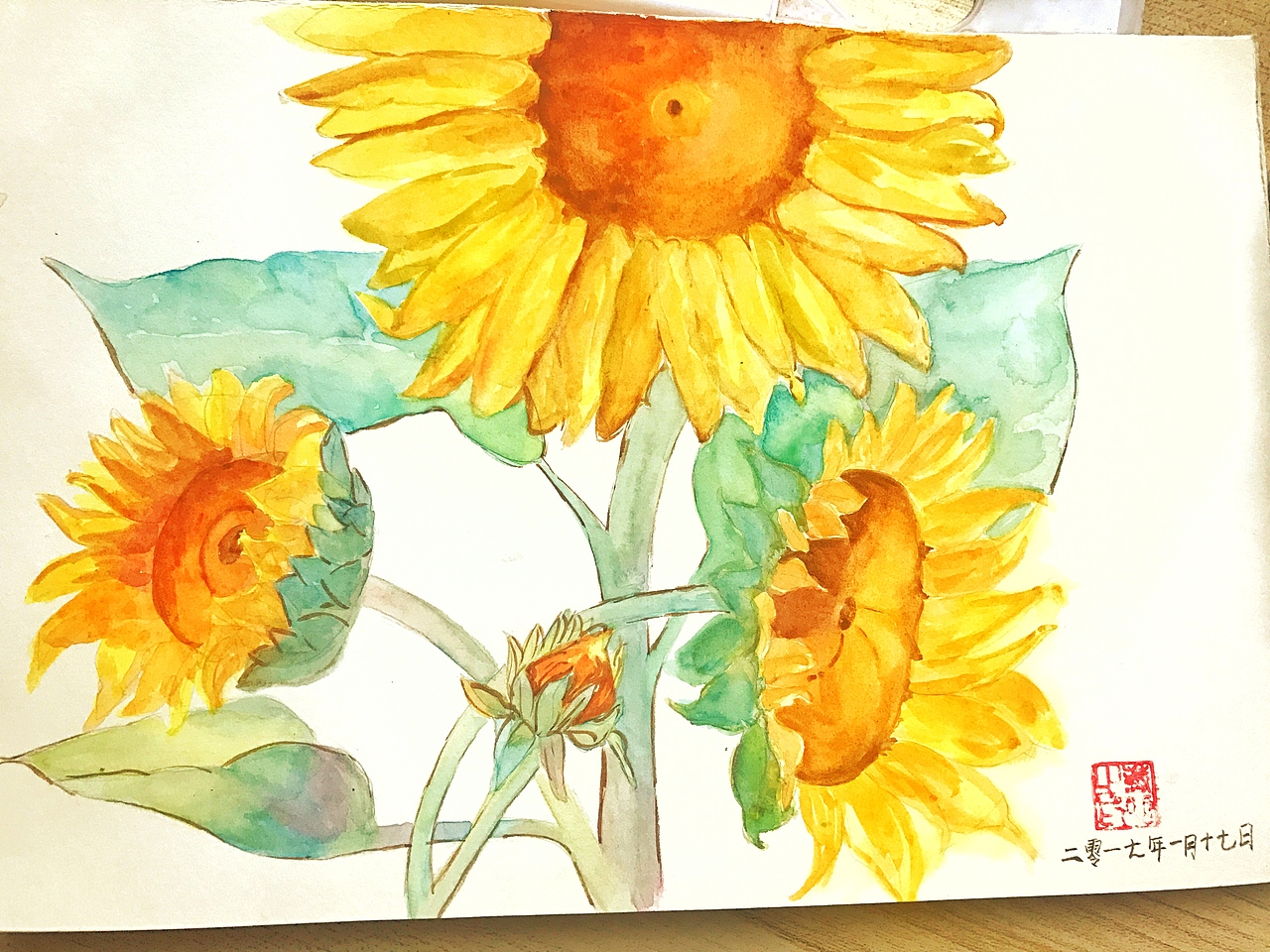 日常练习水彩作品