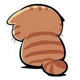 拉链2猫子的头像