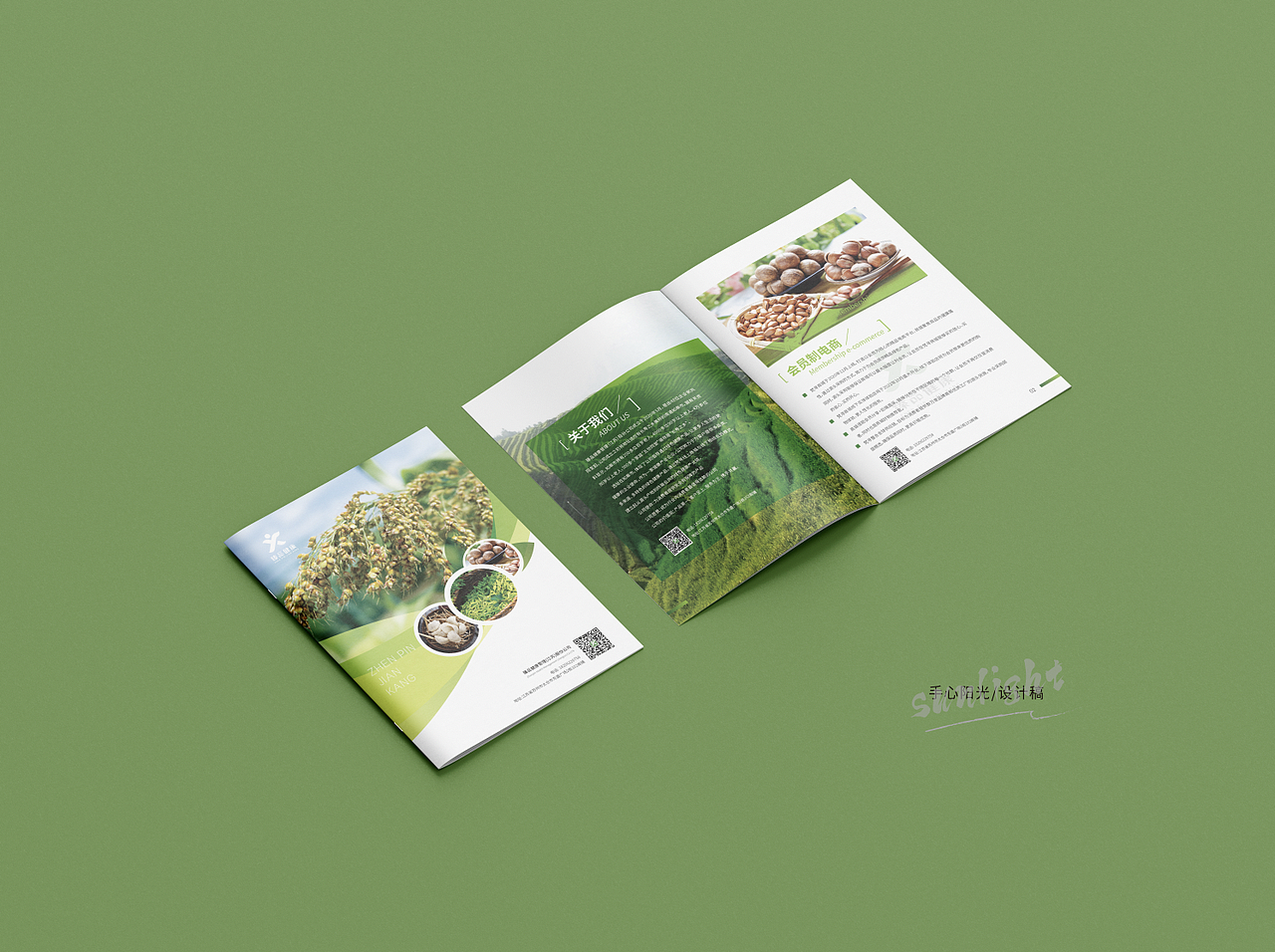 绿色健康食品画册案例