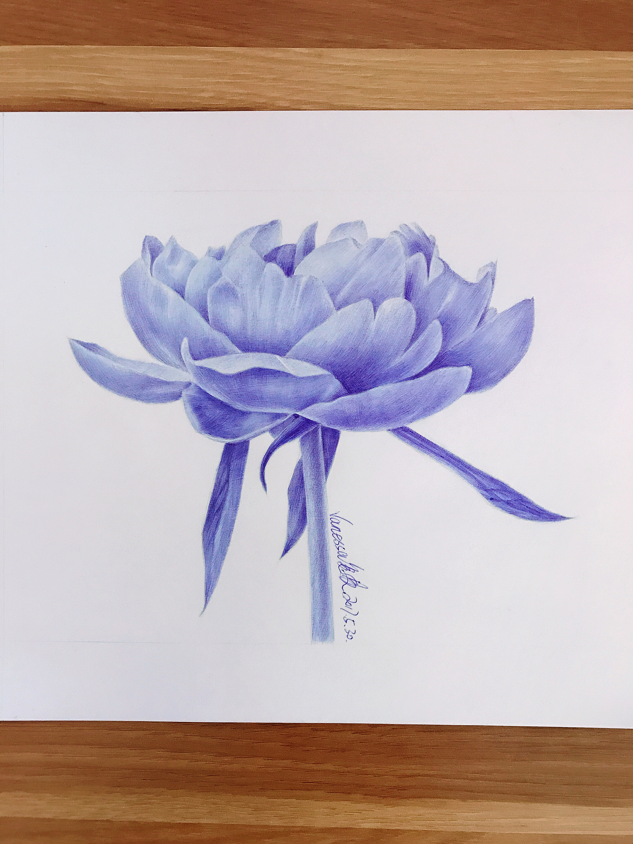 圆珠笔画芍药带步骤