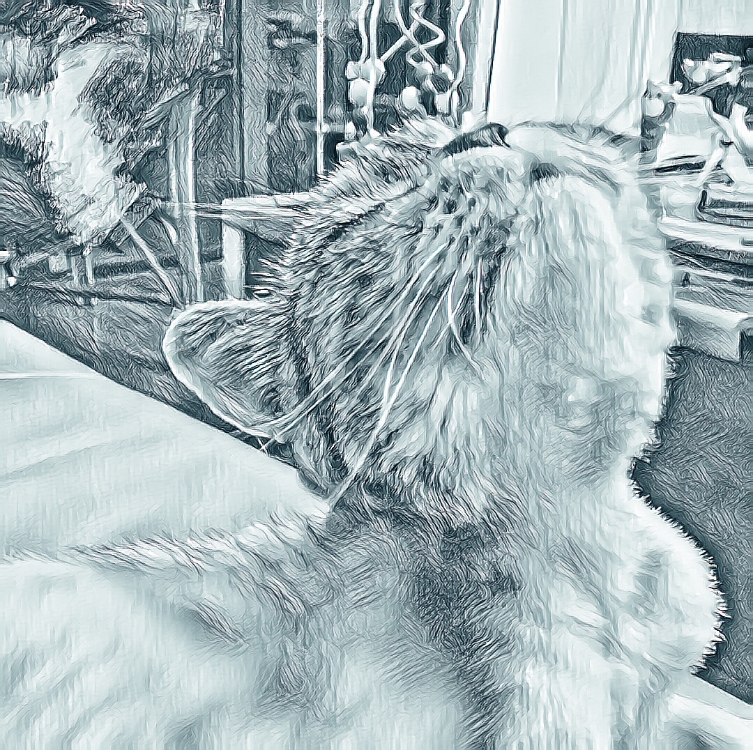 铲屎官日志（图ZMTIyNDM2Njg4） - 绘画 - 站酷设计师tangguo19811030原创素材 - 站酷ZCOOL