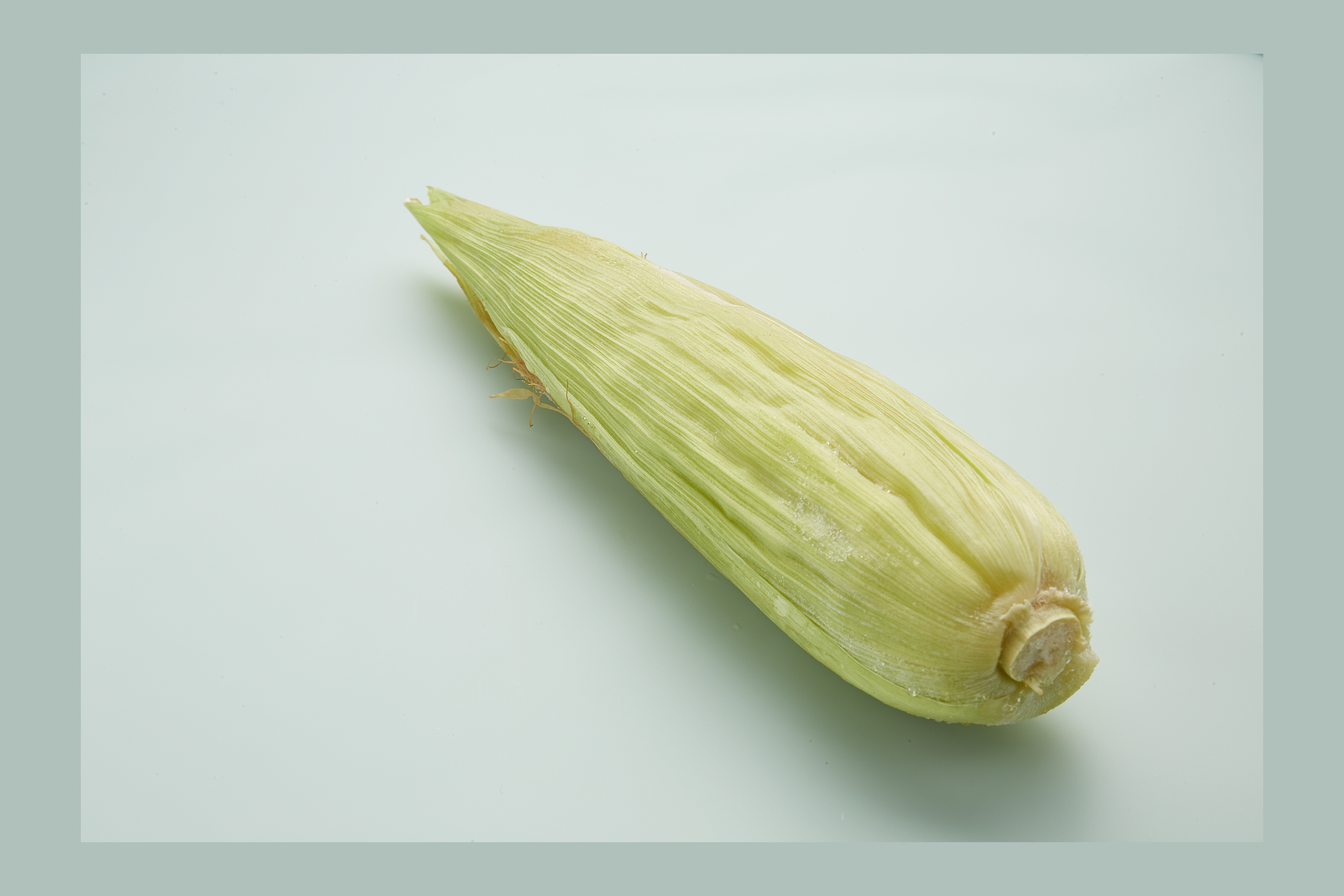 玉米|摄影|产品摄影|摄影师魏闯 - 原创作品 - 站酷 (zcool)