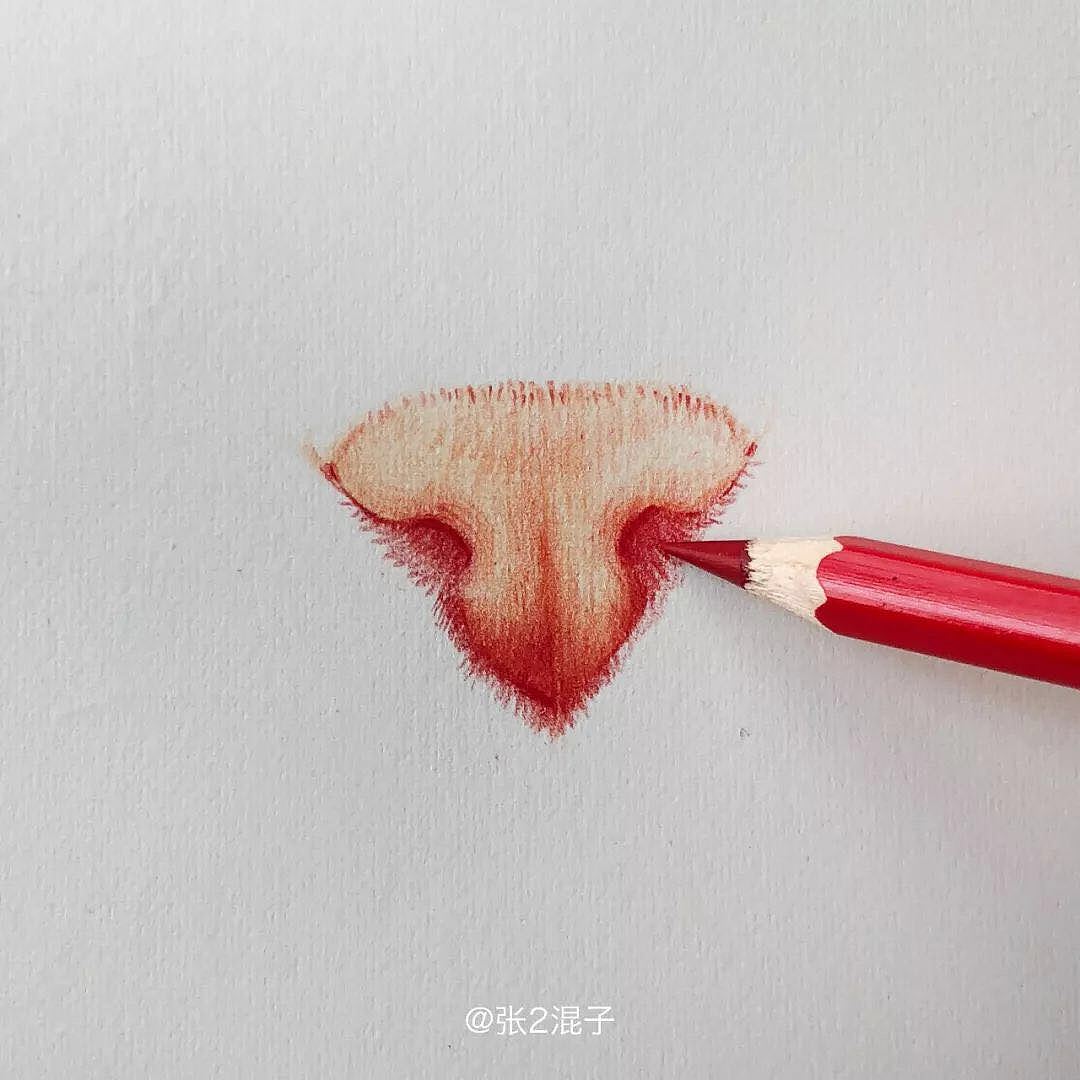 彩铅10分钟画出粉嫩猫鼻子