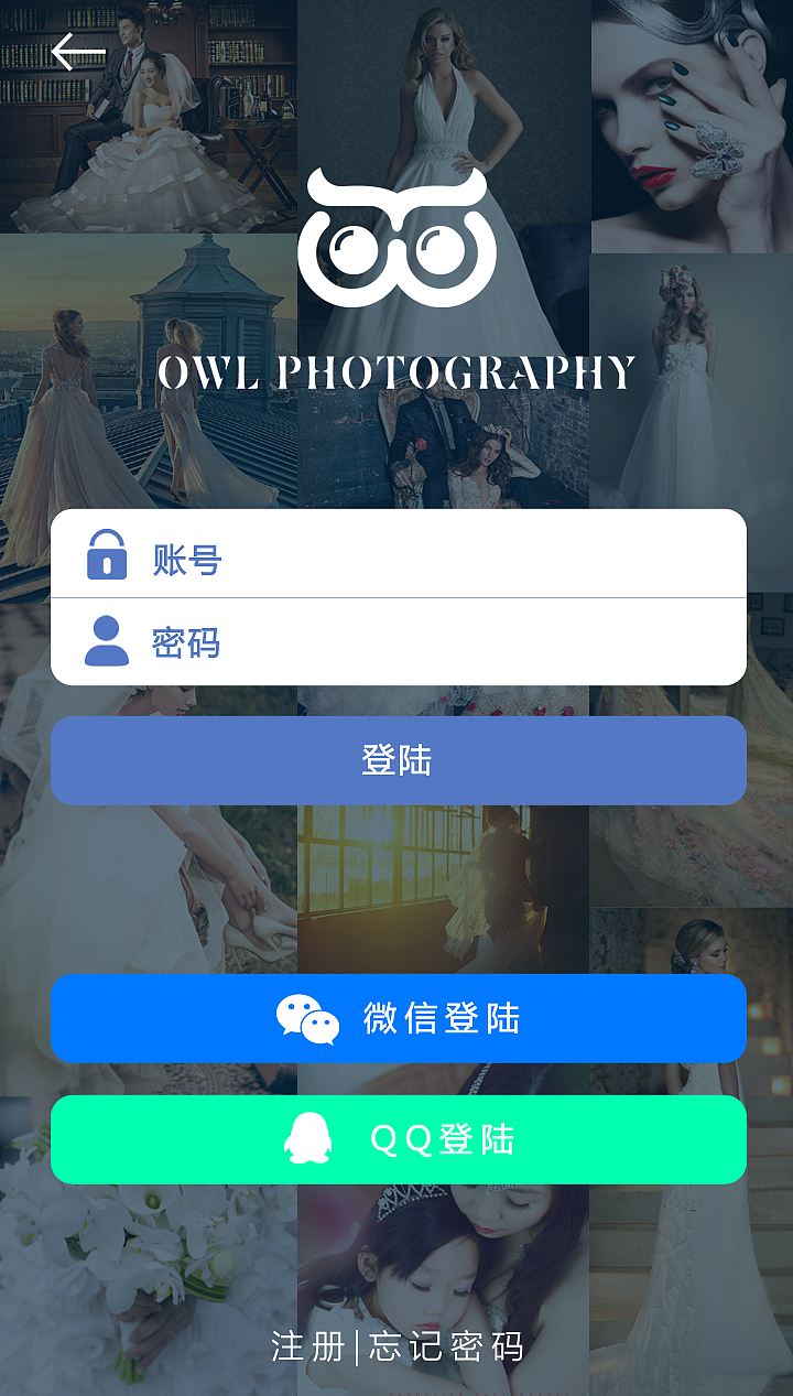 owl摄影