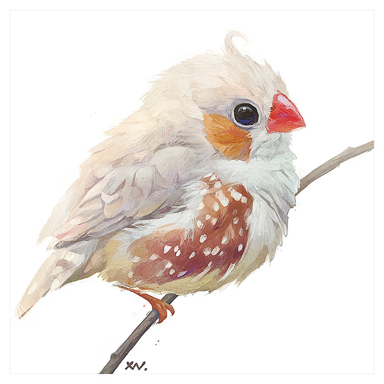 雀|插画|商业插画|雪娃娃童画_原创作品-站酷(zcool)