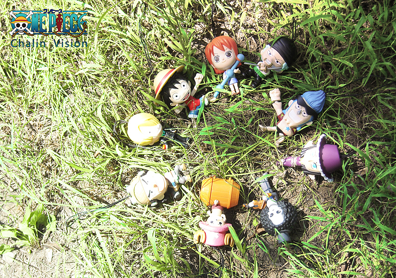 静物摄影—《one piece 海贼王》（图ZMTExODM1NjQ=） - 产品摄影 - 站酷设计师貓兒原创素材 - 站酷ZCOOL