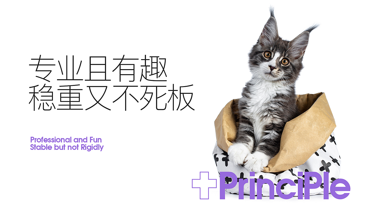 倍珍保-防愈VI 系统升级（图ZMzQwNzE0MDI0） - 品牌 - 站酷设计师末耳原创素材 - 站酷ZCOOL