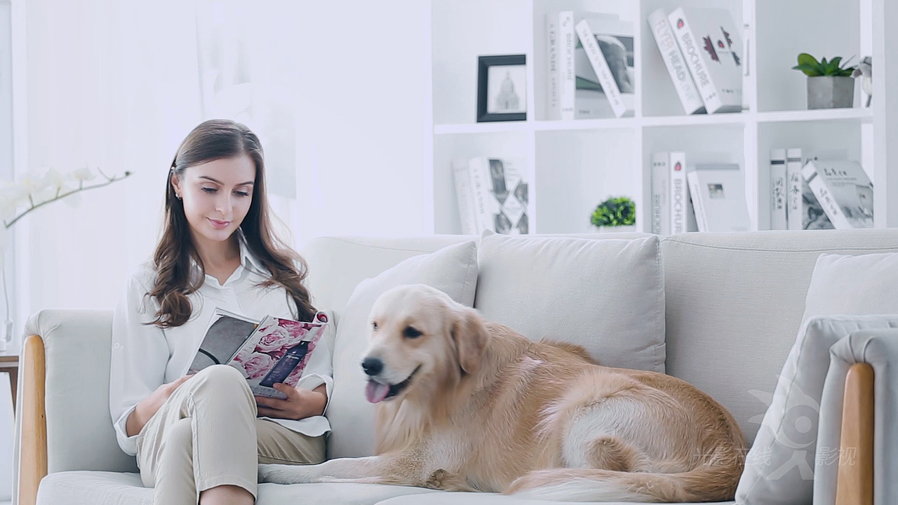 浦桑尼克-手持吸尘器(P8 Trojan)-日文正片