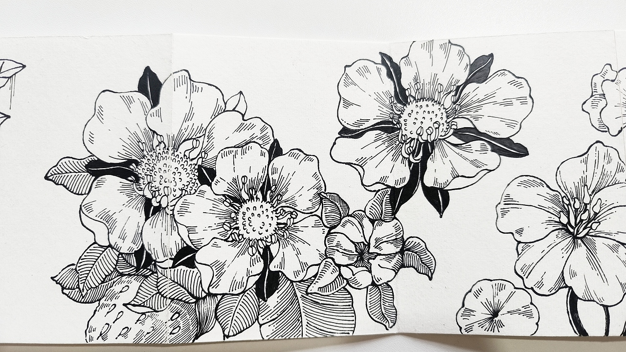 线描花卉，花园里面有什么？（图ZMzczNTM5NzA4） - 绘画 - 站酷设计师会画画的云原创素材 - 站酷ZCOOL