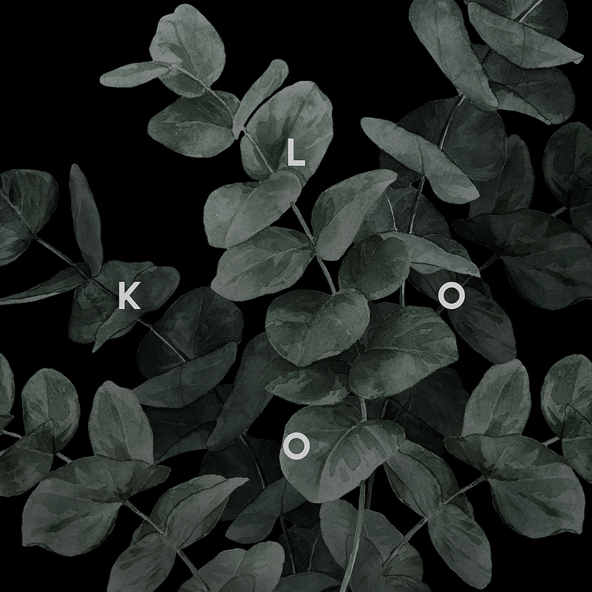 北欧植物 | 家居用品（图ZMTQwNjY1MjA0） - 商业插画 - 站酷设计师pollybo原创素材 - 站酷ZCOOL