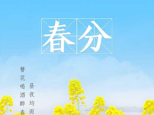 春分白酒合成海报