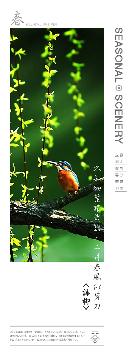 四季之美-原创风景组图（图ZNDg2ODE0NzY=） - 海报 - 站酷设计师管娟原创素材 - 站酷ZCOOL