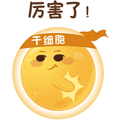 干细胞小茹（图ZMTQ1ODc1NjIw） - 动效设计 - 站酷设计师AGNES999原创素材 - 站酷ZCOOL