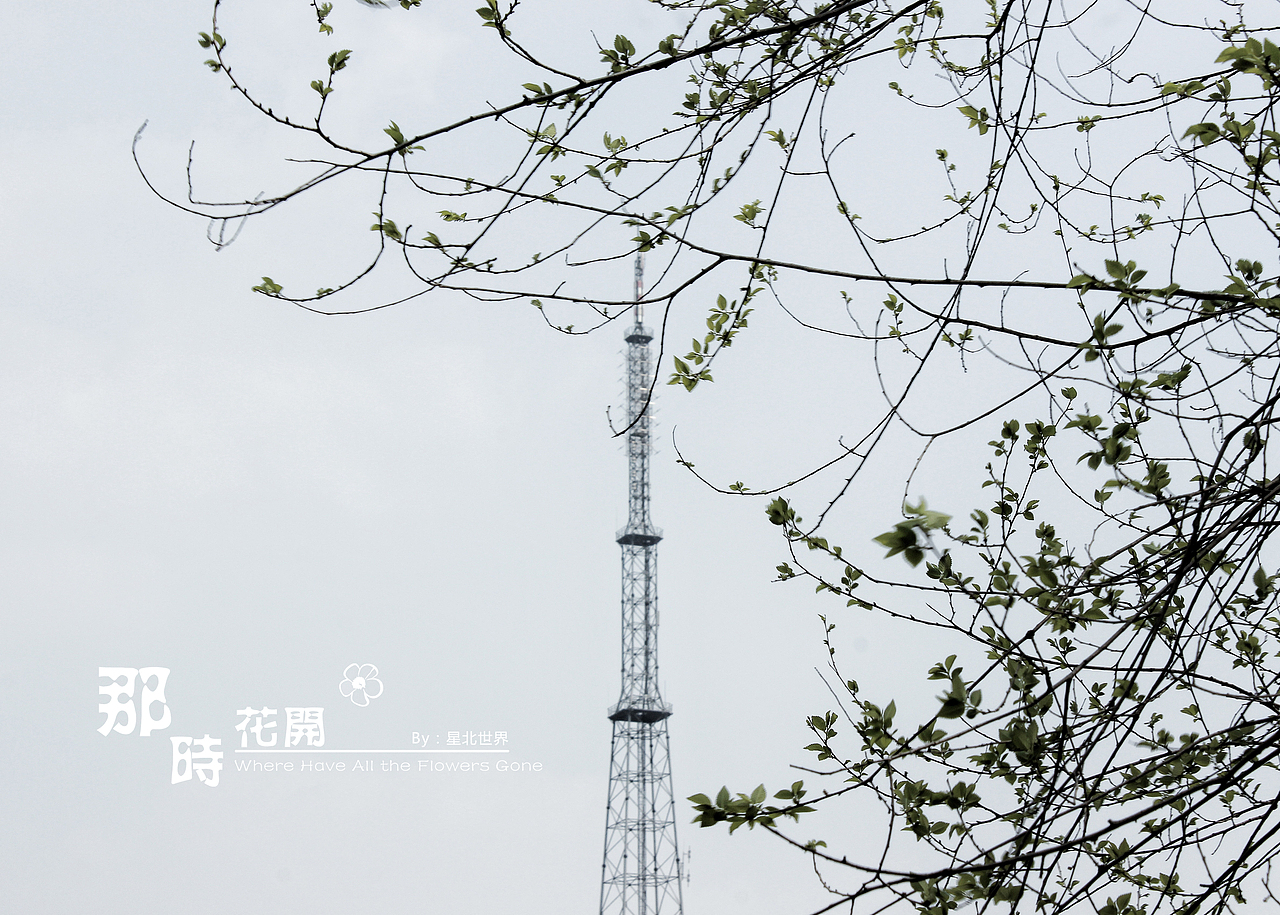 未闻花名——那时花开（二）（图ZNzQ4OTAwNjA=） - 修图/后期 - 站酷设计师星北世界原创素材 - 站酷ZCOOL