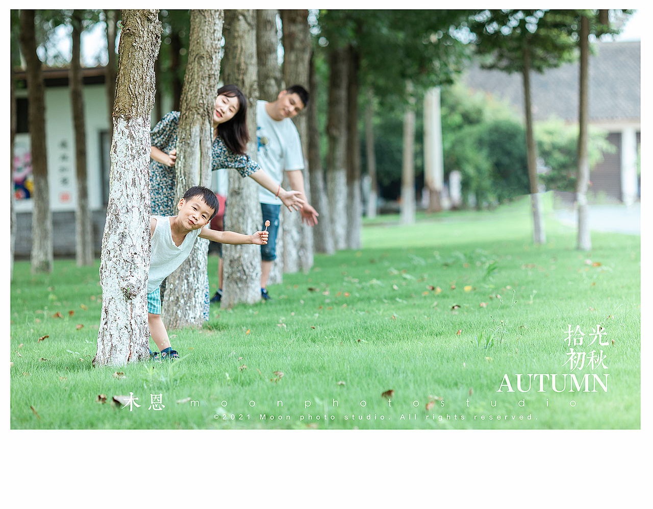 东东的荷塘叶色