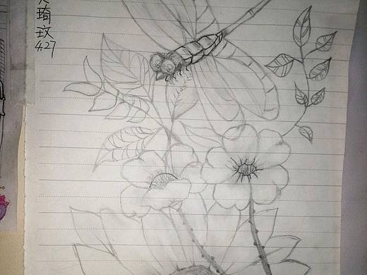 《蜻蜓与花》（个人主页-ZNjMwMTY0MjQ=） - 艺术插画 - 站酷设计师贾琦玟原创素材 - 站酷ZCOOL