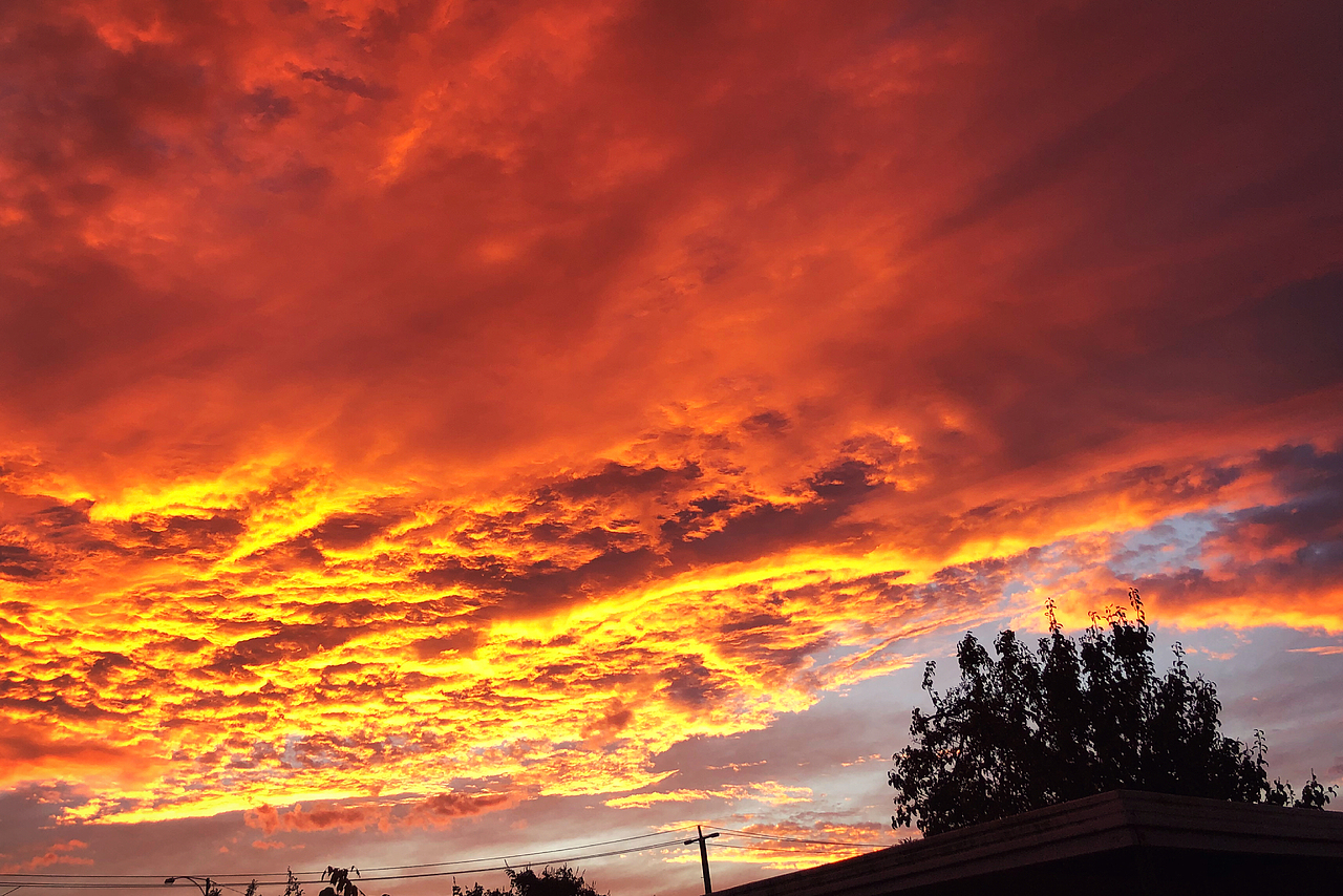 随手拍夕阳（图ZMjA4ODQ1OTI0） - 风光摄影 - 站酷设计师多闻草木原创素材 - 站酷ZCOOL