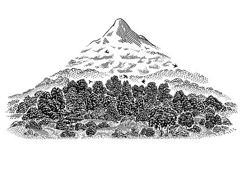 版画学习中